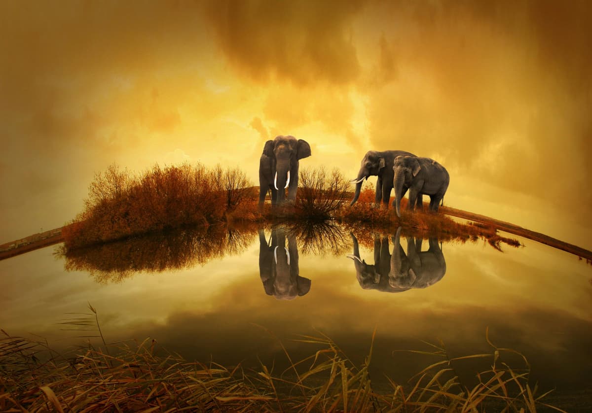 TANZANIA
